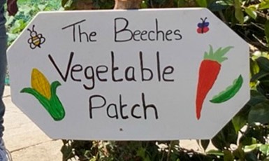 Vegetable Patch