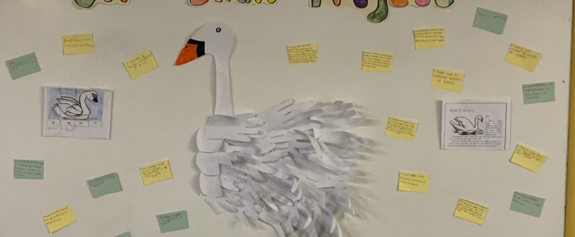 Our Swan Project